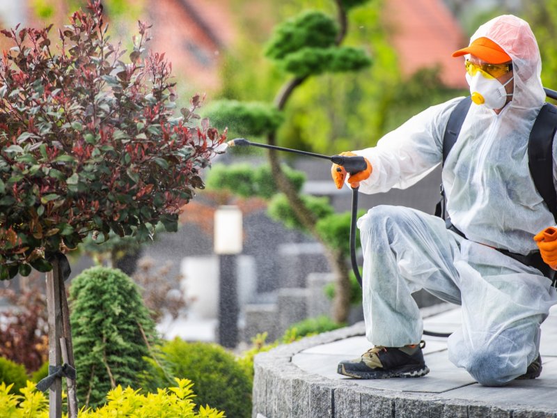 Çüngüş Haşere İlaçlama